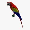 10032_Parrot_side.jpg81b3bb11-1c4d-4902-a023-a4aafc1e6092Large.jpg