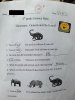 Dino_South Carolinda 1.jpg