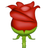 1f339.png